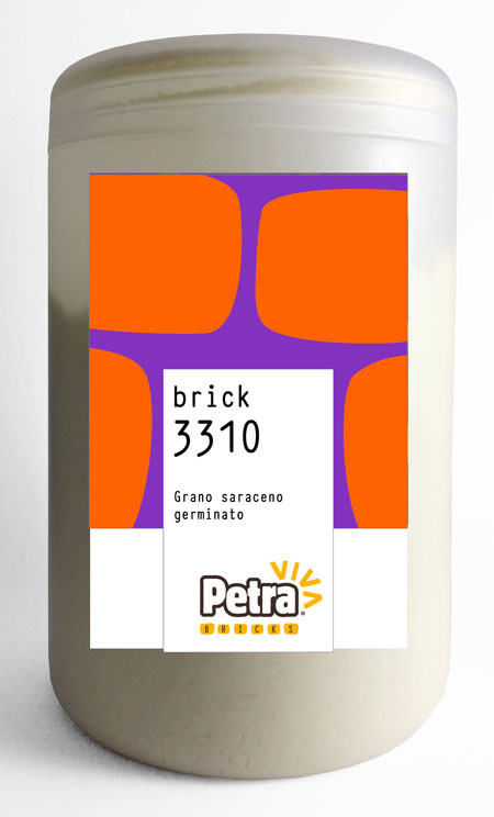 Petra 3310